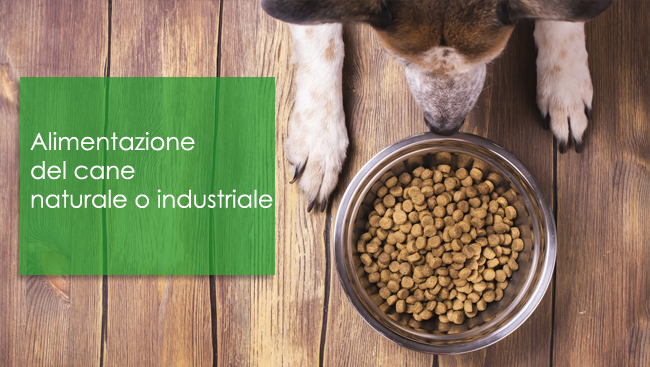 Alimentazione del cane naturale o industriale