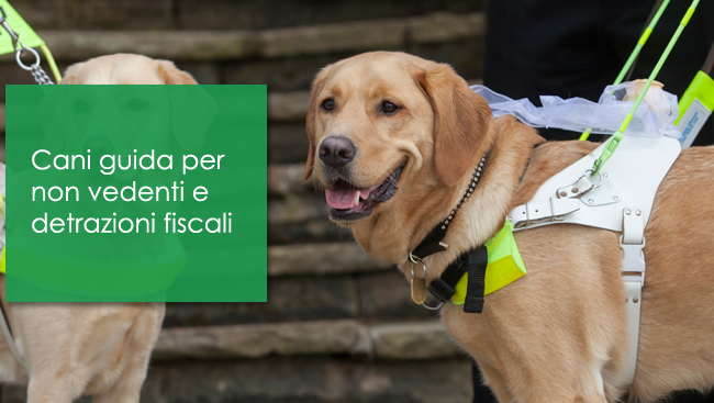 Cani guida per non vedenti e detrazioni fiscali