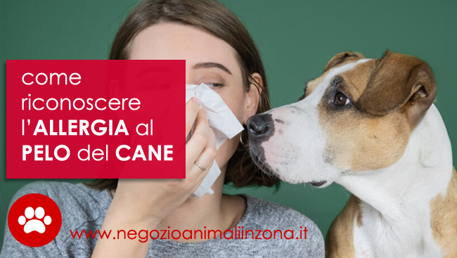 allergia al pelo del cane e del gatto sintomi e rimedi quiinzona